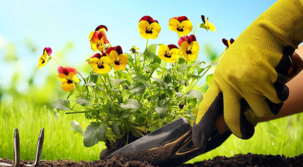 Untuk apa sarung tangan kerja digunakan?